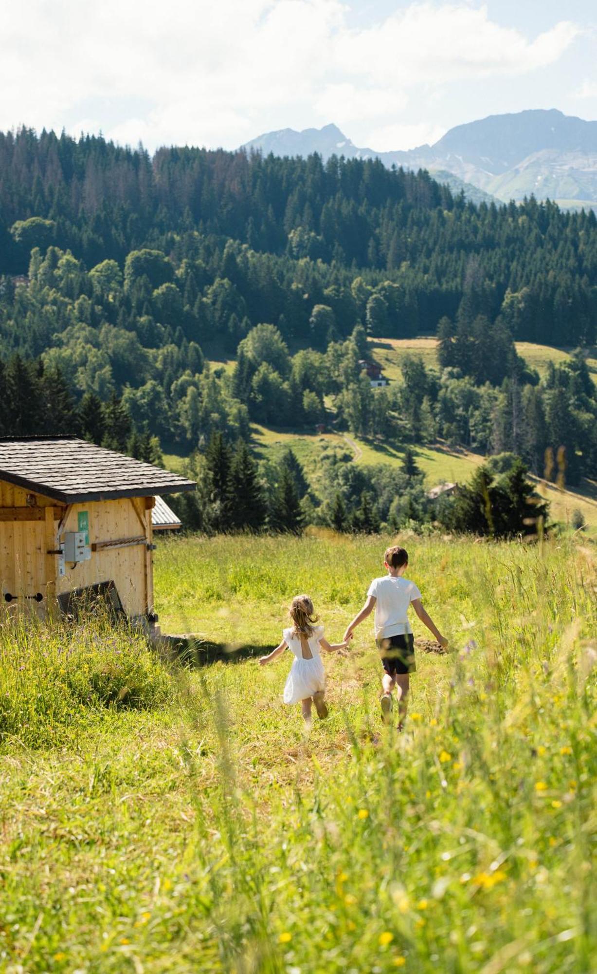 Chalet Alpen Valley, Mont-Blanc コンブルー エクステリア 写真